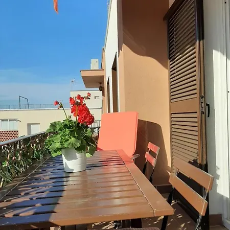 Con Licencia En * סיטגס